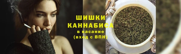 соль ск Бронницы