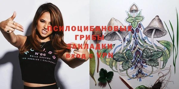 экстази Бородино