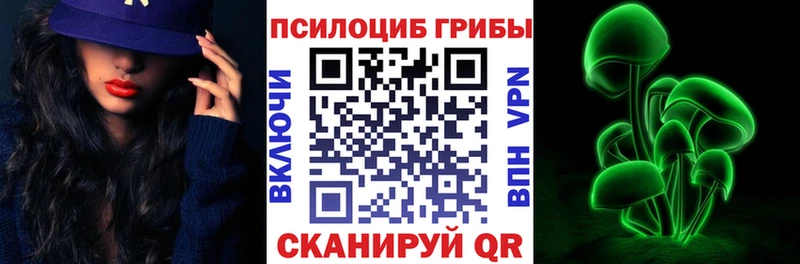 Купить закладки  Галич  Галлюциногенные грибы MAGIC MUSHROOMS 